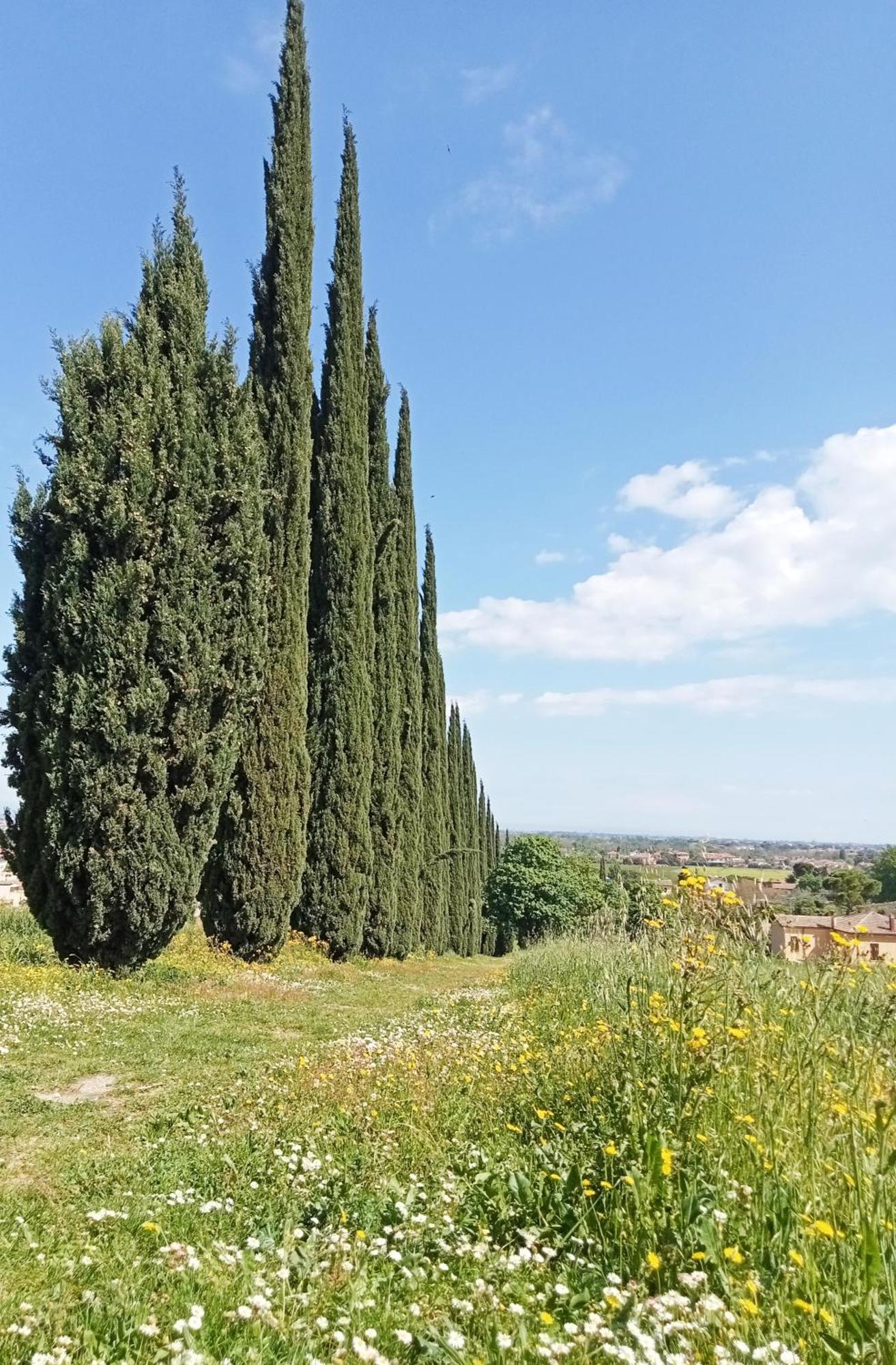 Casalice Lägenhet SantʼArcangelo di Romagna Exteriör bild